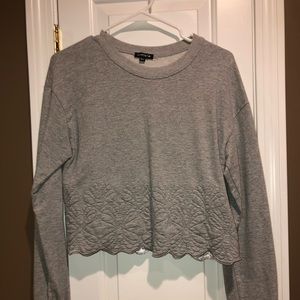 Cropped gray embroidered sweatshirt